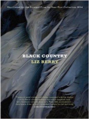 cover image of Black Country